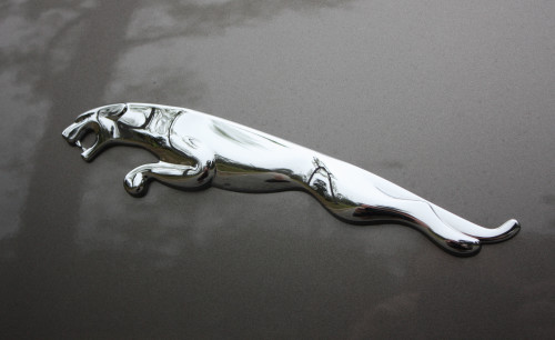Jaguar Car Emblem